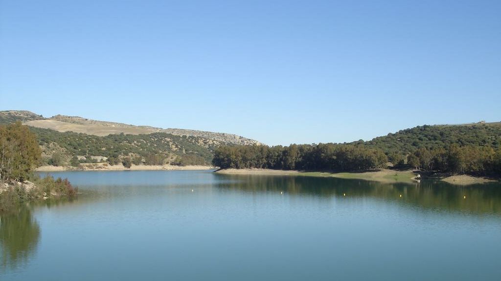 Si no detenemos la destrucción de la naturaleza, sufriremos pandemias cada vez peores